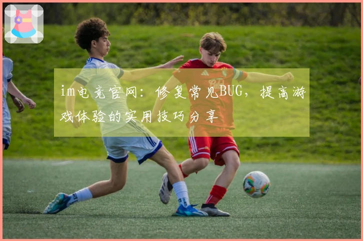 im电竞官网：修复常见BUG，提高游戏体验的实用技巧分享